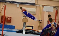 Сахалинские гимнасты стали призерами соревнований в Саранске, Фото: 2