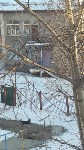 Площадки детского сада в Южно-Сахалинске облюбовали дворняги, Фото: 4