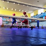 На первенстве Сахалинской области по боксу провели 103 боя, Фото: 1