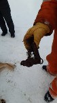 На Сахалине спасли беременную собаку с капканом на лапе, Фото: 3