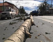 Дерево упало на проезжавший по дороге автомобиль в Южно-Сахалинске, Фото: 10