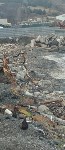 Берега бухты Малокурильской после шторма покрылись рыбьим жиром и мусором, Фото: 2