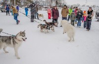 Снежный драйв-2015, Фото: 23