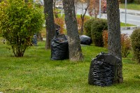 Скверы в Южно-Сахалинске готовят к зиме, Фото: 5