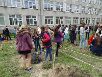 сирень, Фото: 5