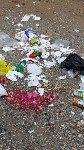 Семья из Южно-Сахалинска убрала мусор за отдыхающими на пляже в Пригородном , Фото: 1