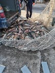 Сахалинские пограничники изъяли у браконьеров почти шесть тонн рыбы, Фото: 4