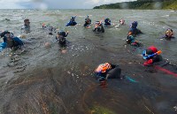 Более 200 человек увидели подводный мир залива Анива в этом году, Фото: 1