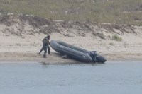 Сахалинцев просят помочь найти людей, издевавшихся над тюленями, Фото: 9