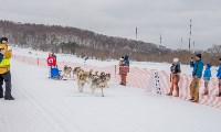 Снежный драйв-2015, Фото: 53