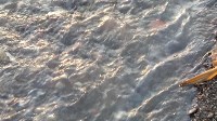 Военный склад ГСМ снова загрязняет Анивский залив нефтепродуктами, Фото: 6