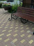 Мэр Невельска прогулялся по новому скверу и расстроился, Фото: 5
