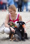В рамках выставки беспородных собак в Южно-Сахалинске 8 питомцев обрели хозяев, Фото: 245
