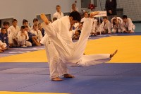 Второй год подряд в Южно-Сахалинске проводится международный турнир по дзюдо, Фото: 21