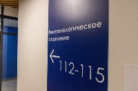 Новая поликлиника в Дальнем начала принимать первых пациентов, Фото: 14