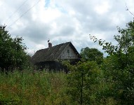 последний дом в деревне, Фото: 7