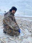 Наважья путина в разгаре на Сахалине, Фото: 2