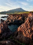Марсианские виды можно обнаружить на острове в Сахалинской области, Фото: 4