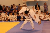 Второй год подряд в Южно-Сахалинске проводится международный турнир по дзюдо, Фото: 18