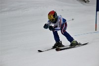 В Томари начался открытый турнир по горным лыжам, Фото: 12