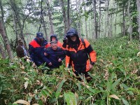 Пропавшего пенсионера нашли в лесу в районе Елочек, Фото: 5