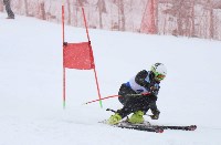 Ветераны горнолыжного спорта показали мастерство на «Горном воздухе», Фото: 6