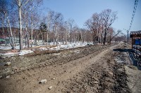 Впервые за 30 лет в южно-сахалинском парке очистили дно озера Верхнего, Фото: 1