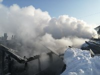 Грибная ферма с американским оборудованием и котом сгорела в Тымовском, Фото: 9