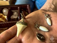 Сахалинский спасатель собрал коллекцию окаменелостей с 60-килограммовым аммонитом, Фото: 1