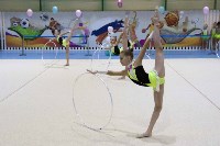 Около 200 юных гимнасток выступили в Новоалександровске, Фото: 4