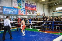 Соревнования по кикбоксингу прошли в Южно-Сахалинске, Фото: 12