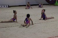 Открытый турнир по эстетической гимнастике прошел в Южно-Сахалинске, Фото: 2
