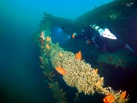 Дайверы пытаются разгадать тайну корабля, затонувшего у берегов Сахалина на глубине 27 метров, Фото: 3