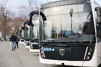 За два года в Сахалинской области обновили 381 пассажирский автобус, Фото: 1