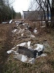 Стекловатой завалили село, Фото: 2