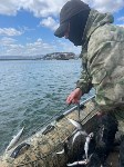 Рыбоохрана на Сахалине вытащила из водоёмов сети длиной более 1 км, набитые корюшкой, Фото: 4