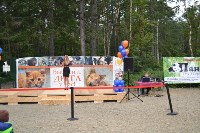 В рамках выставки беспородных собак в Южно-Сахалинске 8 питомцев обрели хозяев, Фото: 139