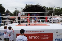 На Сахалине отметили международный день бокса, Фото: 42