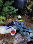 На Сахалине задержали двоих браконьеров, потрошивших горбушу на реке, Фото: 3
