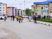 Томаринская молодёжь отметила свой день эко-акцией и велопробегом, Фото: 8