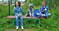 В рамках выставки беспородных собак в Южно-Сахалинске 8 питомцев обрели хозяев, Фото: 257