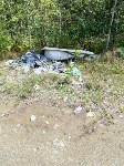 Мешки с тухлой рыбой выкинули у речки в Южно-Сахалинске, Фото: 1