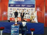 Сахалинские дзюдоисты стали призерами Всероссийского турнира в Магадане, Фото: 5