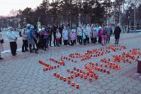Девять дней после теракта в "Крокусе": южносахалинцы почтили память жертв трагедии, Фото: 9