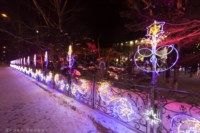 Новогодняя сказка в Южно-Сахалинске, Фото: 4