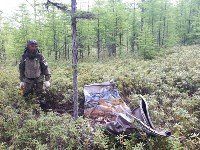 Места крушений двух военных самолетов обследовали сахалинские поисковики, Фото: 11