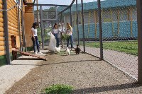 Волонтеры помогают Сахалинскому зоопарку ухаживать за животными, Фото: 18