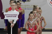 Открытый турнир по эстетической гимнастике прошел в Южно-Сахалинске, Фото: 20