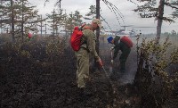 Лесной пожар не могут потушить в Охинском районе, Фото: 4