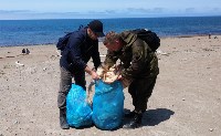 В Южно-Сахалинске часть автобусов вернется на привычные маршруты, Фото: 5